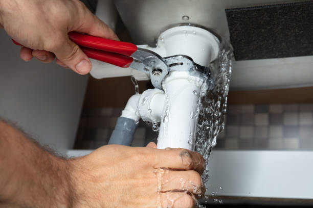 Best 24-hour water damage restoration  in Northdale, FL