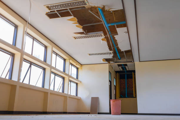 Best Professional water damage repair  in Northdale, FL