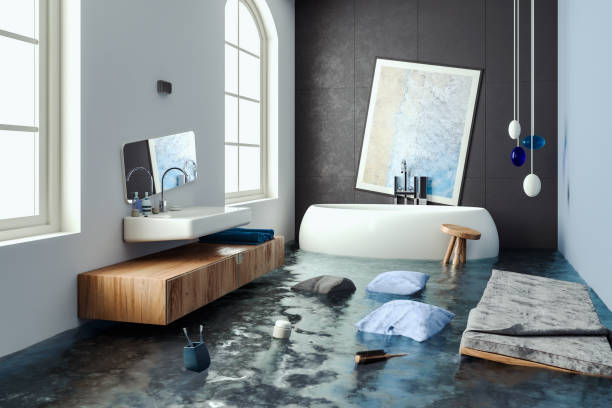 Best Mold removal after water damage  in Northdale, FL