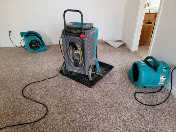 Best Water damage restoration services  in Northdale, FL