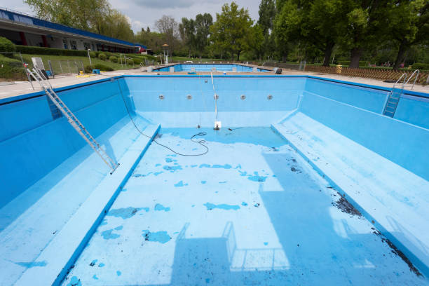 Best Water damage restoration experts  in Northdale, FL