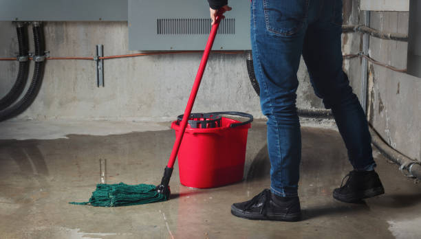 Best Water damage contractors near me  in Northdale, FL