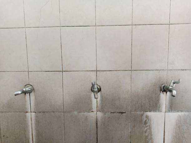 Best Commercial water damage restoration  in Northdale, FL