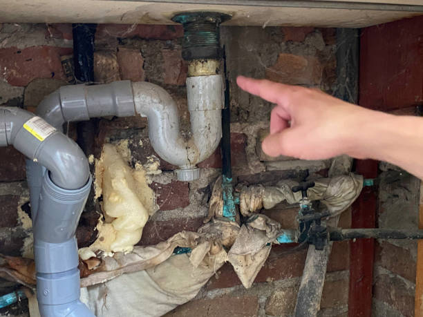 Best Flooded house restoration  in Northdale, FL
