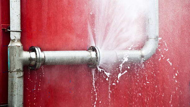 Best Flood damage cleanup  in Northdale, FL
